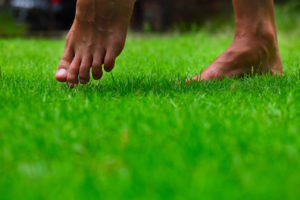 bare feet in lush green grass