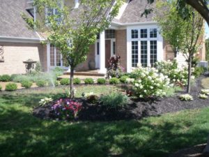 custom landscaping